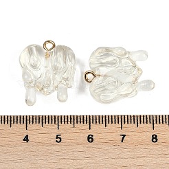 Resin Pendants&nbsp;RESI-I060-01E