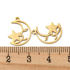 304 Stainless Steel Charms&nbsp;STAS-L022-215G