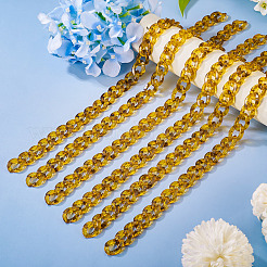 Acrylic Link Bag Extender Chains&nbsp;AJEW-TAC00064