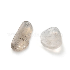 Natural Labradorite Beads&nbsp;G-O103-22
