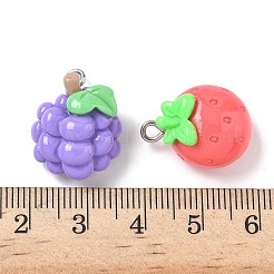 Fruit Opaque Resin Pendants&nbsp;RESI-I339-03P