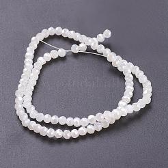Electroplate Glass Beads Strands&nbsp;EGLA-D021-03