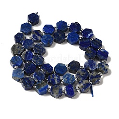 Natural Lapis Lazuli Beads Strands&nbsp;G-P534-A12-02