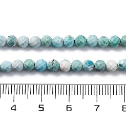 Natural HuBei Turquoise Beads Strands&nbsp;G-B130-A01-03