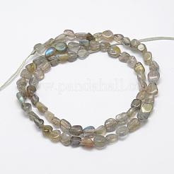 Natural Labradorite Beads Strands&nbsp;G-F521-42