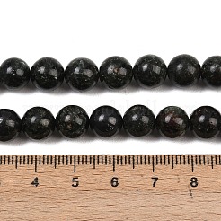 Natural Seraphinite Beads Strands&nbsp;G-H337-A03-04