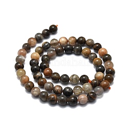 Natural Black Sunstone Beads Strands&nbsp;G-E576-01A