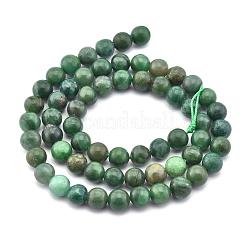 Natural African Jade Beads Strands&nbsp;G-D840-53-6mm-A