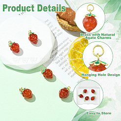 5Pcs Brass with Natural Agate Charms&nbsp;KK-CJ0003-17