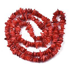 Natural Freshwater Shell Beads Strands&nbsp;SHEL-S278-071