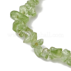 Natural Peridot Stretch Bracelets&nbsp;BJEW-JB11147-06