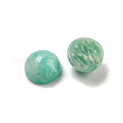 Natural Amazonite Cabochons&nbsp;G-H309-03-62