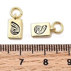 Brass Enamel Charms&nbsp;KK-P338-09G-02
