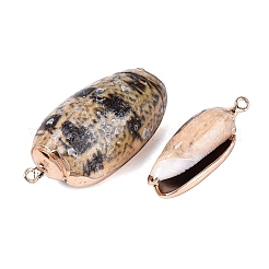 Electroplate Natural Spiral Shell Pendants&nbsp;SSHEL-Q100-53G