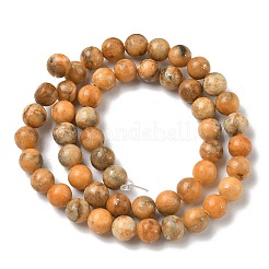 Dyed Natural Dolomite Beads Strands&nbsp;G-D337-8mm-D05