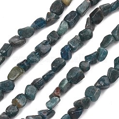 Natural Apatite Beads Strands&nbsp;G-F821-F01-01