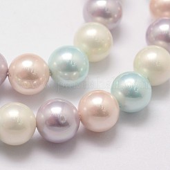 Polished Shell Pearl Bead Strands&nbsp;BSHE-F013-07A