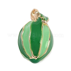 Alloy Enamel Charms&nbsp;PALLOY-S059-01G-A