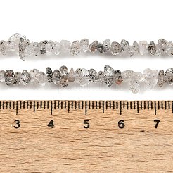 Natural Black Strawberry Quartz Chip Beads Strands&nbsp;G-B160-A03