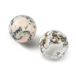 Natural Tree Agate Sphere Beads&nbsp;GG-D003-A02