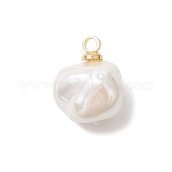 Shell Pearl Nuggets Charms&nbsp;PALLOY-JF04861