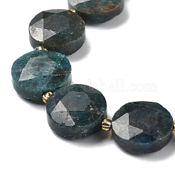 Natural Apatite Beads Strands&nbsp;G-C116-A159-03