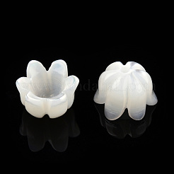 Natural White Shell Bead Caps&nbsp;SSHEL-N032-58A