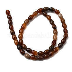 Natural Petrified Wood Beads Strands&nbsp;G-K362-I12-02