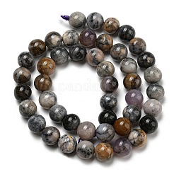 Natural Dendritic Jasper Beads Strands&nbsp;G-R494-A23-03