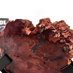 Natural Petrified Wood Slice onArc-shaped Black Iron Stand&nbsp;AJEW-H157-10
