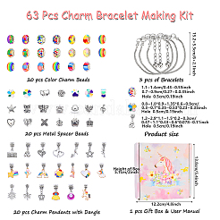 DIY European Bracelet Making Kits&nbsp;DIY-YWC0006-03A