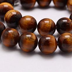 Natural & Dyed Tiger Eye Bead Strands&nbsp;G-P230-10-16mm
