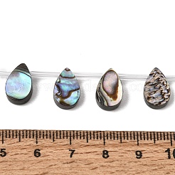 Natural Abalone Shell Paua Shell Beads Strands&nbsp;SH-CBA69D1-02