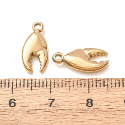 304 Stainless Steel Charms&nbsp;SA-D002-06G