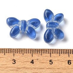 Transparent Lampwork Beads&nbsp;LAMP-P065-02A-19