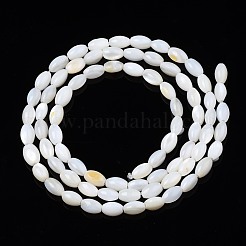 Freshwater Shell Beads Strands&nbsp;SHEL-T009-A15-01