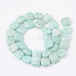 Natural Amazonite Beads Strands&nbsp;G-S299-94