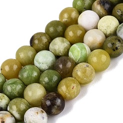 Natural Serpentine Beads Strands&nbsp;G-Q616-07B