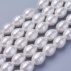 Shell Pearl Beads Strands&nbsp;BSHE-P030-03D