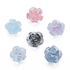 Transparent Resin Cabochons&nbsp;CRES-N030-014