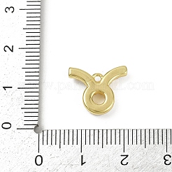 Brass Charms&nbsp;KK-M322-54G-02