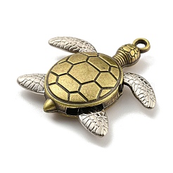 Alloy Pendants&nbsp;FIND-C052-13AB