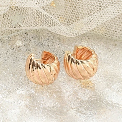 Rack Plating Ring Brass Hoop Earrings&nbsp;EJEW-M090-02G