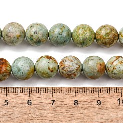 Natural Peruvian Turquoise(Jasper) Beads Strands&nbsp;G-T150-A01-10mm