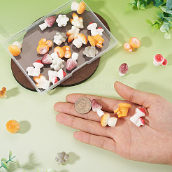 30Pcs 6 Colors Mushroom Themes Resin Display Decorations&nbsp;DJEW-TA0001-27