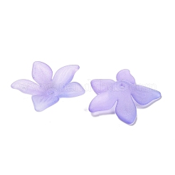 Transparent Acrylic Beads Caps&nbsp;OACR-B022-02A
