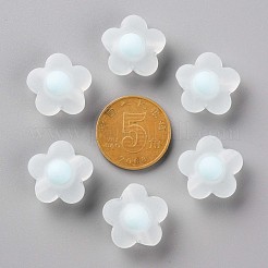 Transparent Acrylic Beads&nbsp;TACR-S152-09C-10