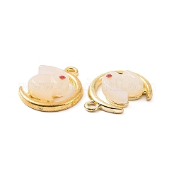 Alloy with Glass Imitation Jade Pendants&nbsp;FIND-G047-03G