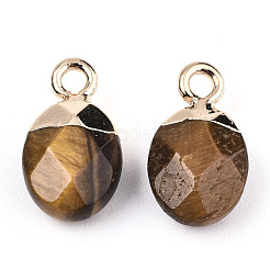 Natural Tiger Eye Charms&nbsp;X-G-N326-58C