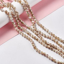 Drawbench Style Natural Freshwater Shell Beads Strands&nbsp;SHEL-F003-10B